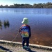 Walk in the Park