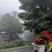Foggy Morning