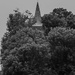 Steeple amidst the trees