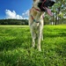 IMG_9945 Sophie