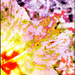 Letting the colors bleed into a beautiful chaos