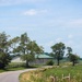 Along the country road.