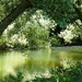 River Welland, Stamford