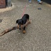 Its a hard life!