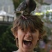 Pigeon Joy