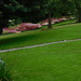 astilbe beds