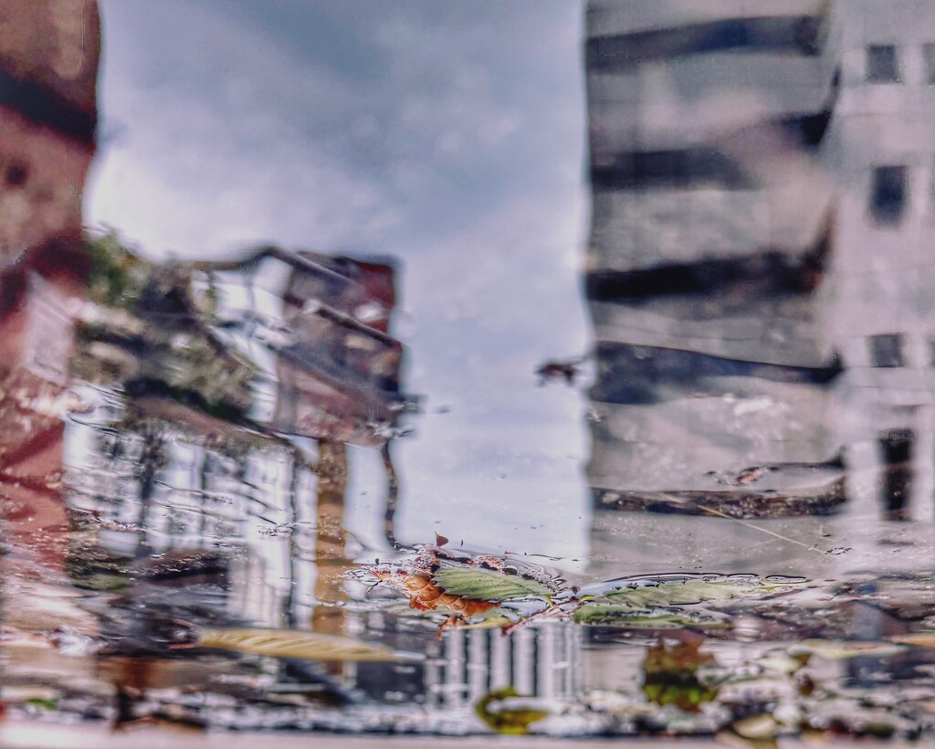 Puddle Randomness  by njmom3