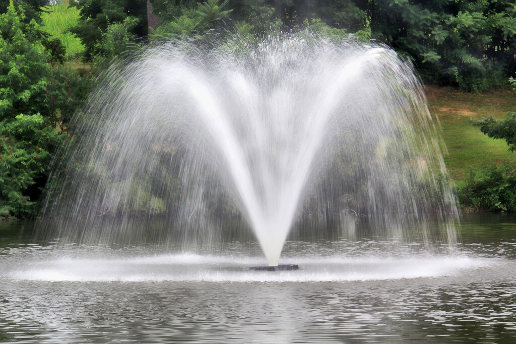Fountain Of Life  by digitalrn