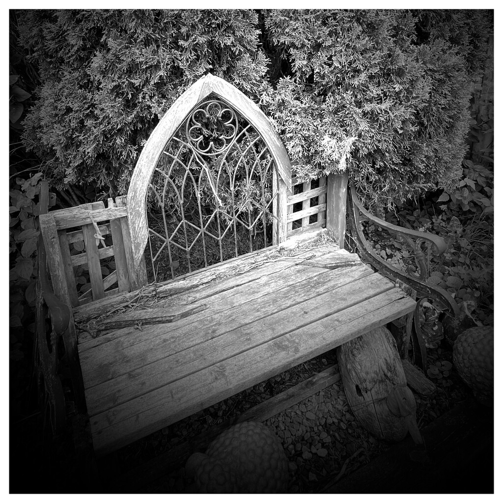 The Old Bench by jane80