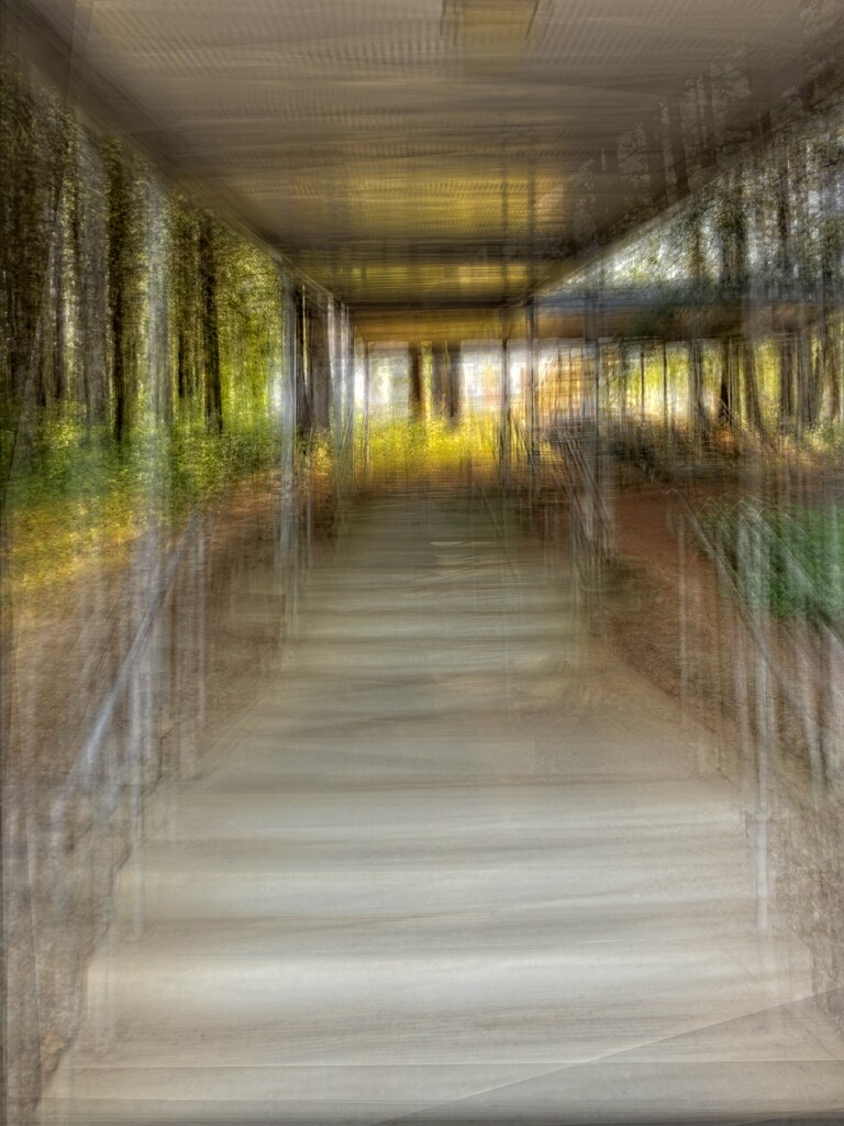 Up the stairs by joysabin