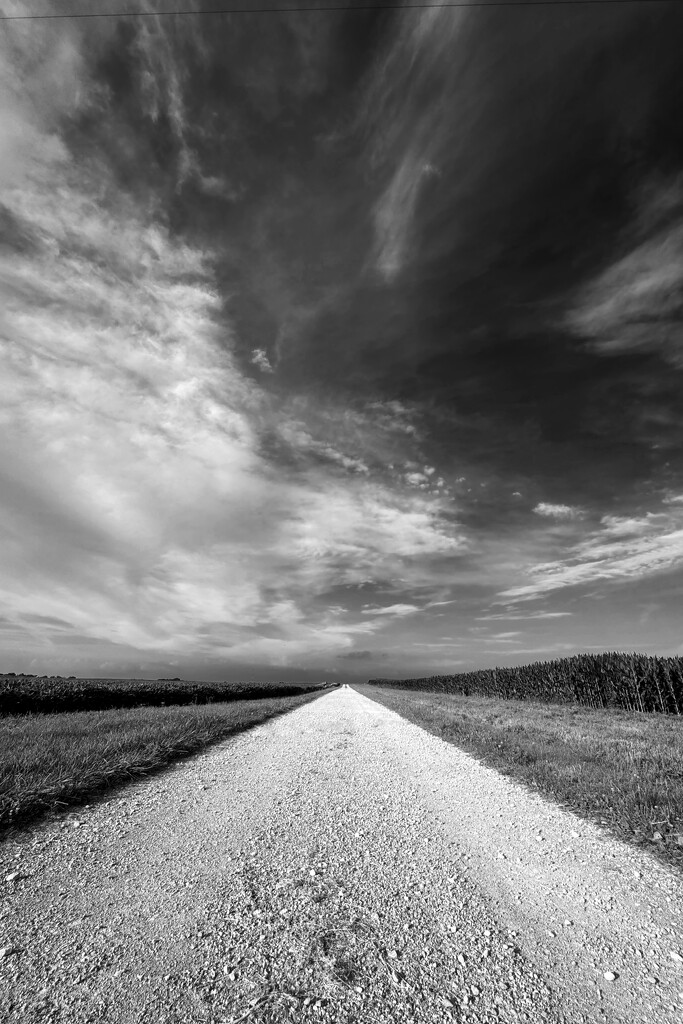 Lonely Street by lsquared