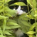I spy with my little eye..