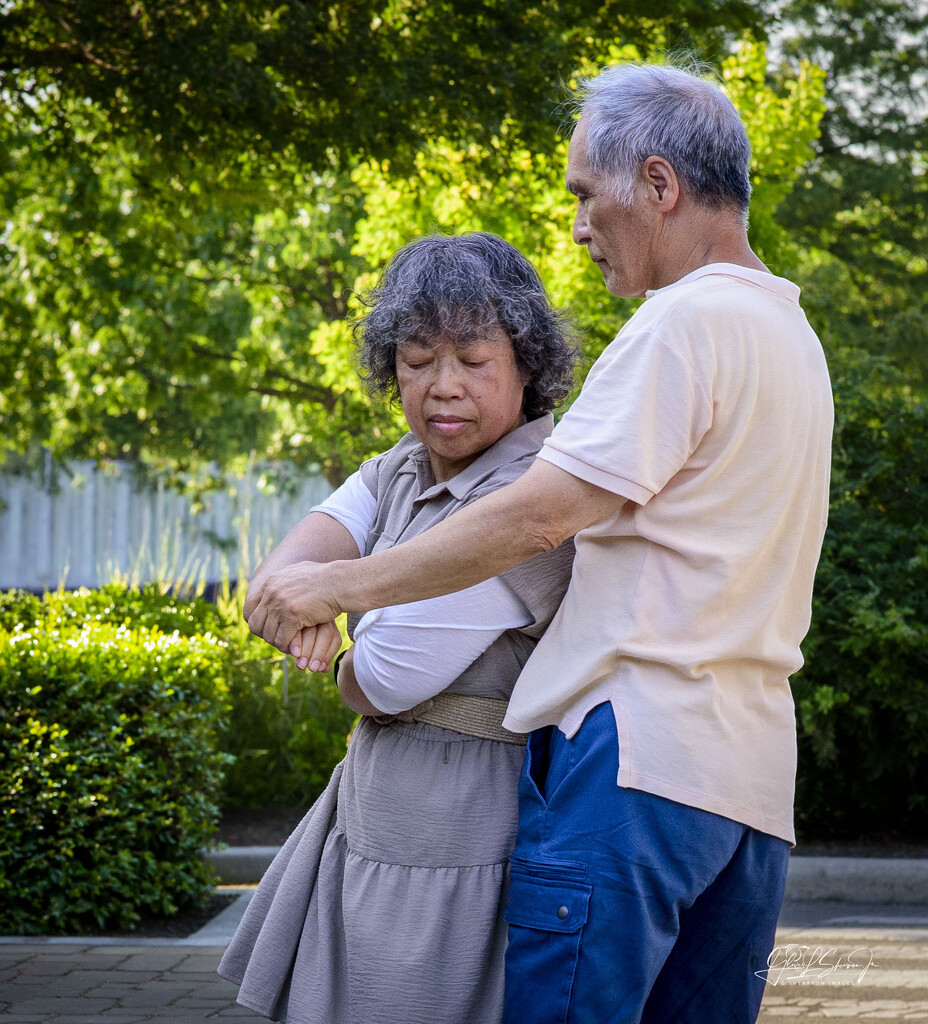 Lost in the dance by ggshearron