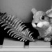 Please don't eat the fern frond...