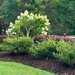 Lovely landscaping...