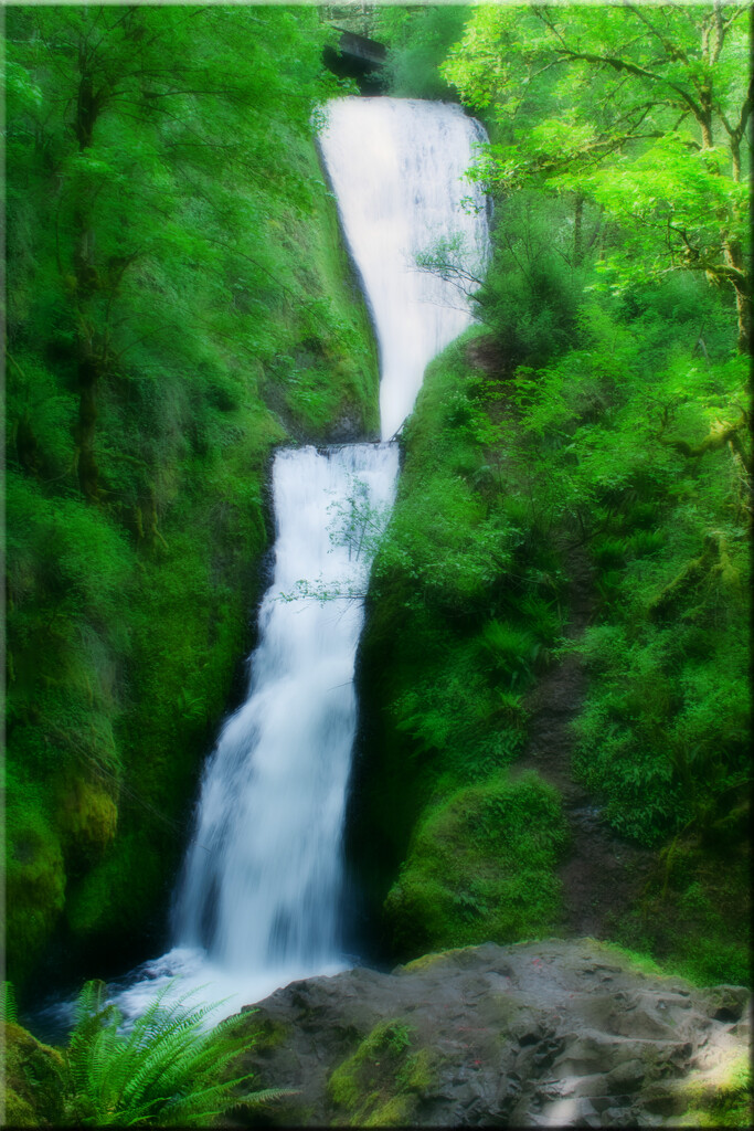 Hidden emerald sanctuary by 365projectorgchristine