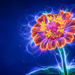 Flower Power