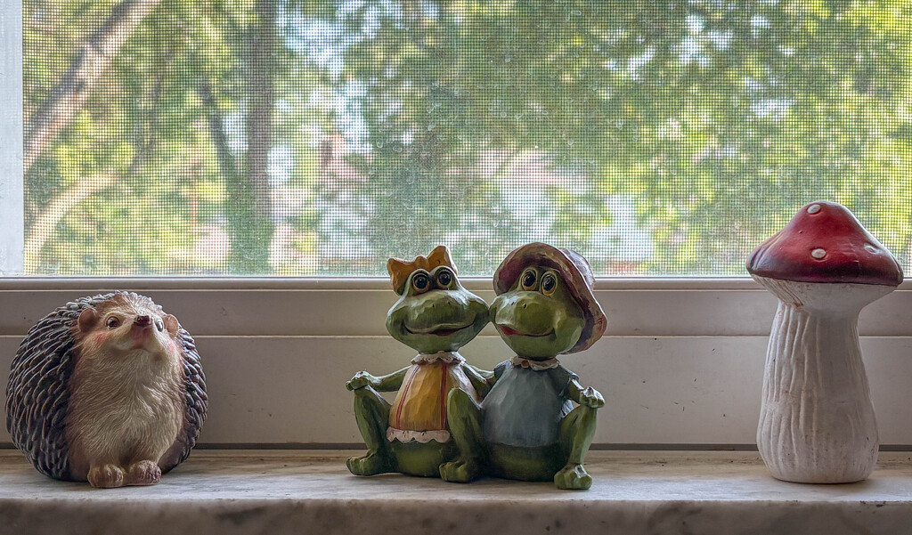 My kitchen window sill by mittens