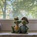 My kitchen window sill