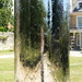 mostly tree reflections in the 'trunk'...
