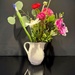 Playing with a Bouquet