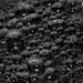 Bubbles