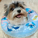 Ready for the summer!