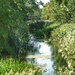 Cogglesford Mill 