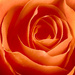 Jul 08 - Shapes in orange