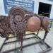 Bison at “Bison Ridge Recycling”