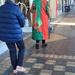 Joseph's Coat ?