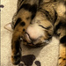 4 - Upside Down