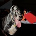 Sadie - window light spotlight