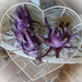 kohlrabi