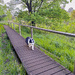walkies in the local Botanical Gardens with Saphie 
