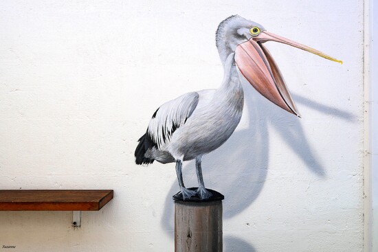 Pelican by ankers70