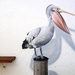 Pelican