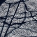 Shadow Lines