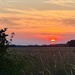 Setting Sun by carole_sandford