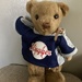 Teddy Bears’ Picnic Day