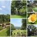A Summer Afternoon at Agecroft Hall