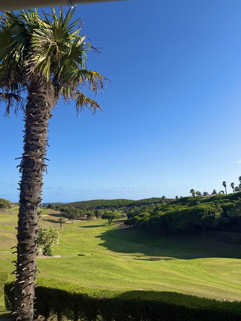 View from the 19th Hole by cmf