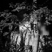 Shadowy shapes and light...
