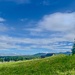 Country Living