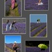 Spot the Instagrammers?