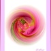 Rosy twirl 