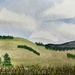 WWCM D11 Freestyle Landscape