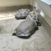Parking Lot