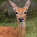 Hi There