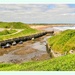 Seaton Sluice (spot the mermaid)